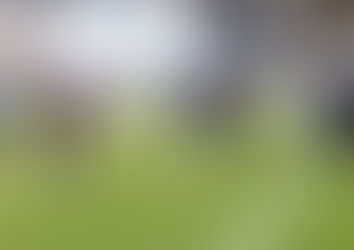 Ruge el Tigre en pre temporada de Americano