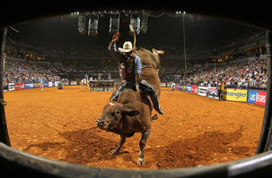 PROYECTAN ARENA DE RODEO PROFESIONAL PARA CUAUHTÉMOC