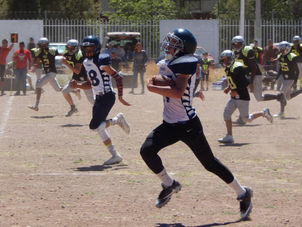 Tigres es primer lugar al vencer a Buhos