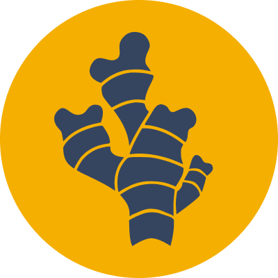 Writer: GINGR – Global Initiative for Nature, Grids and Renewables