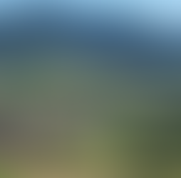 Sortie à Winden annulée