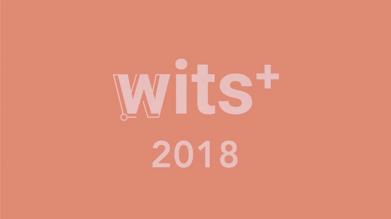 WITS.gif