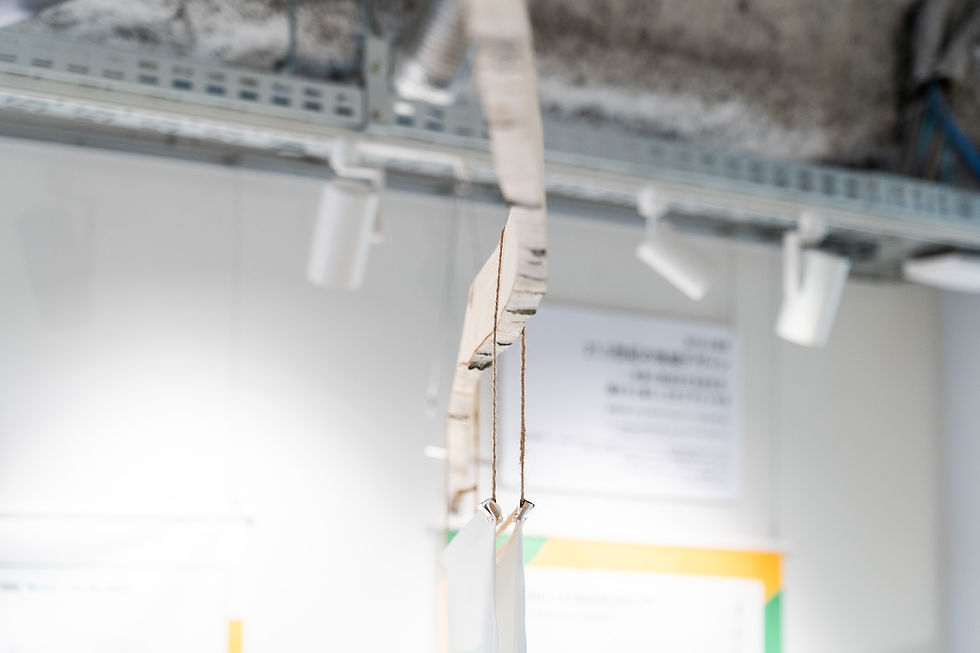 mtthw_HigashikawaDAYS_Kotaro_Imai_013.jpg