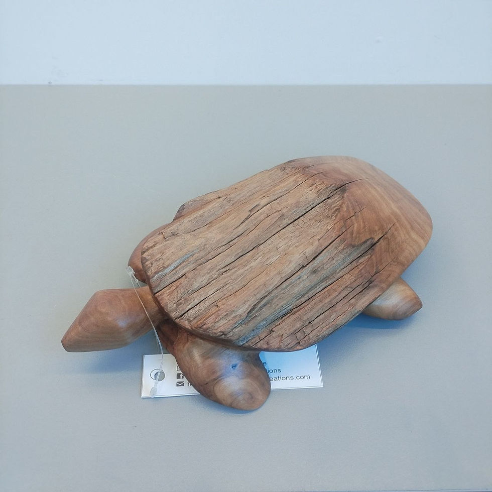 Miniature : TURTLE 161