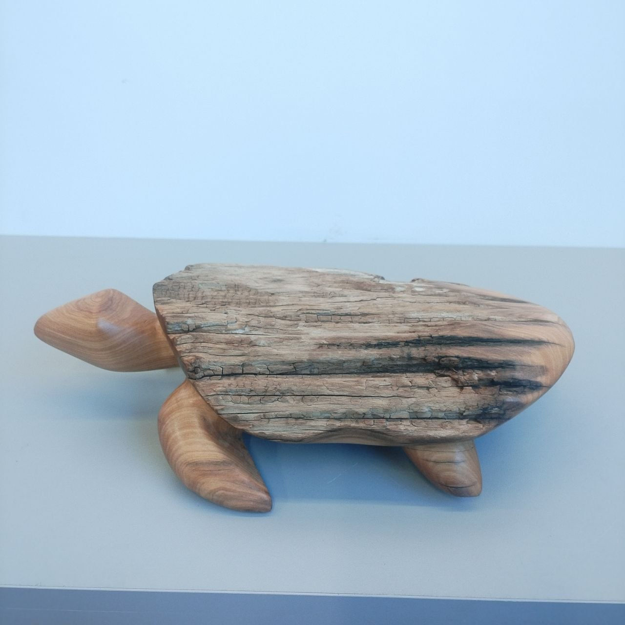 TURTLE 163