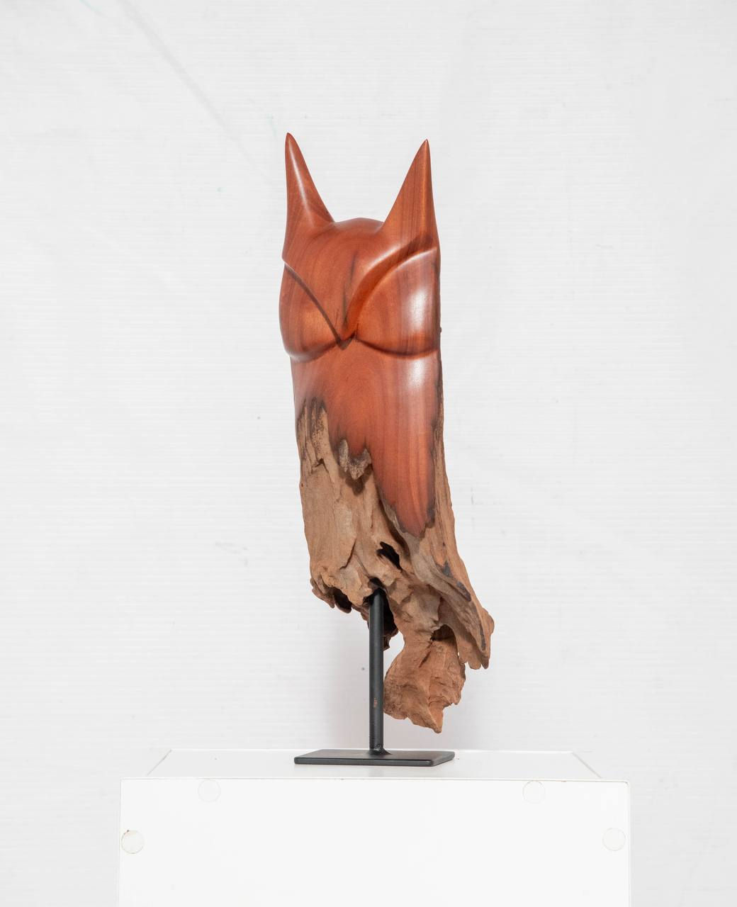 OWL 1038