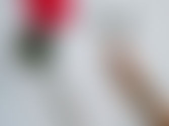 Hand with black nails holds a pen over a blank notebook. A red rose in a glass vase and ink bottle are on a white table, creating a creative mood.