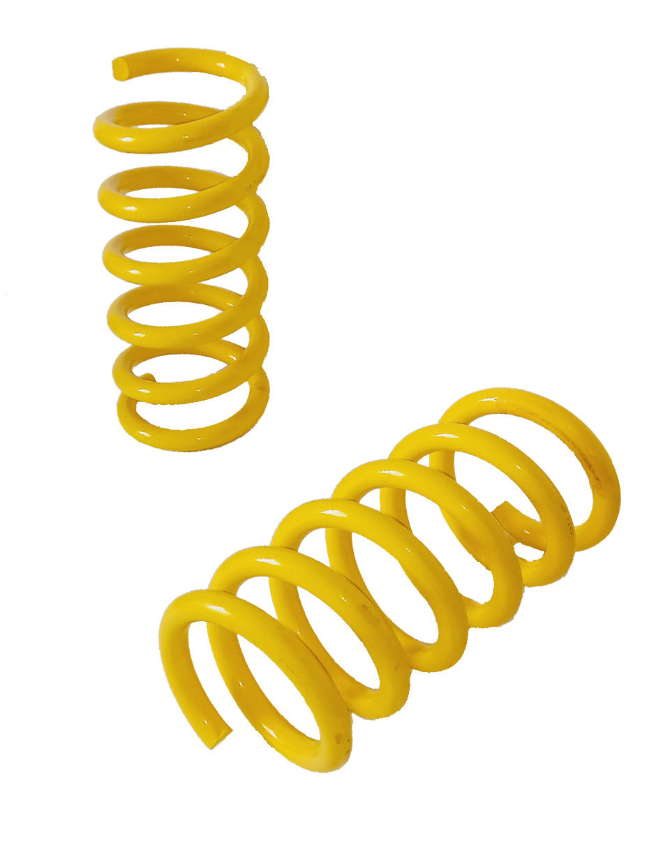 Resortes Traseros Deportivos NP Racing mustang 8 cil 15-21