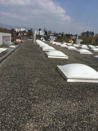 Flachdach, Flachdachsanierung, Flachdach sanieren, Flachdach abdichten, Wärmedämmung, bituminöse Abdichtungen, Kunststoffabdichtungen, Dachwartung, Dachservice, Dachsicherheit, Dach, Sarnafil, dichtes Zuhause,   Dachbegrünung, Dachbekiesung, Terrasse, Pflanzen auf Dach, modernes Dach, Dachreinigung, Absturzsicherung, Vordach, Einfamilienhaus, Mehrfamilienhaus, Umbau, Sanierung