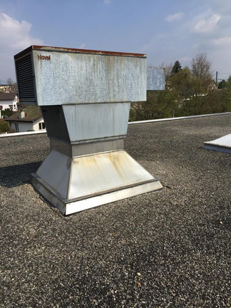 Flachdach, Flachdachsanierung, Flachdach sanieren, Flachdach abdichten, Wärmedämmung, bituminöse Abdichtungen, Kunststoffabdichtungen, Dachwartung, Dachservice, Dachsicherheit, Dach, Sarnafil, dichtes Zuhause,   Dachbegrünung, Dachbekiesung, Terrasse, Pflanzen auf Dach, modernes Dach, Dachreinigung, Absturzsicherung, Vordach, Einfamilienhaus, Mehrfamilienhaus, Umbau, Sanierung