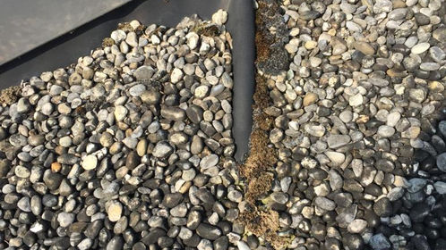 Flachdach, Flachdachsanierung, Flachdach sanieren, Flachdach abdichten, Wärmedämmung, bituminöse Abdichtungen, Kunststoffabdichtungen, Dachwartung, Dachservice, Dachsicherheit, Dach, Sarnafil, dichtes Zuhause,   Dachbegrünung, Dachbekiesung, Terrasse, Pflanzen auf Dach, modernes Dach, Dachreinigung, Absturzsicherung, Vordach, Einfamilienhaus, Mehrfamilienhaus, Umbau, Sanierung