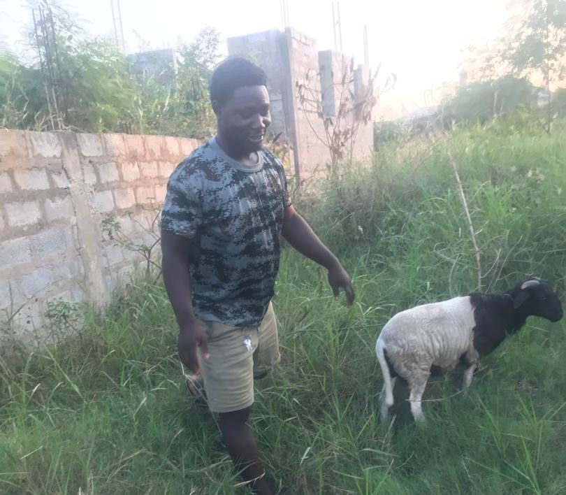 Edmund the Shepherd