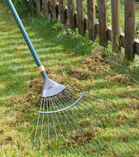 spring clean up.jpeg