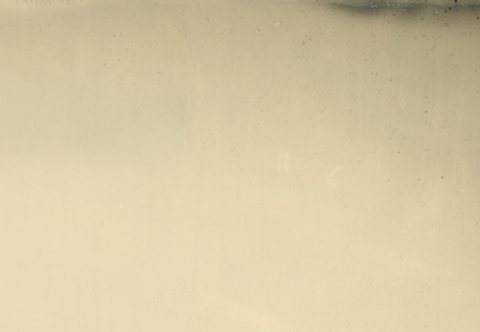 DanGarcia-TinType BACK CROP.png