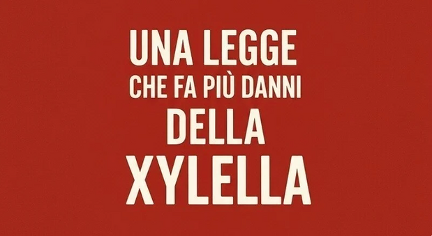 Schermata 2025-11-16 alle 15.18.02.png