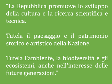 TRANSIZIONE ENERGETICA IN ITALIA: LE LEGGI