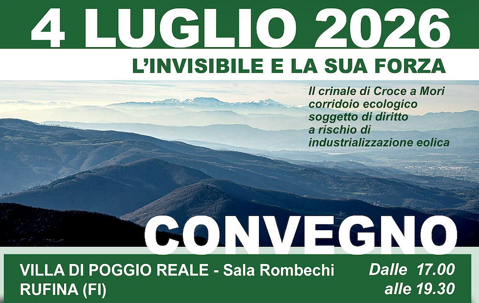 L'INVISIBILE E LA SUA FORZA convegno pubblico