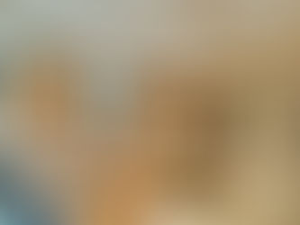 Step-by-Step Guide to Planning Your Dream Home Renovation in Houston