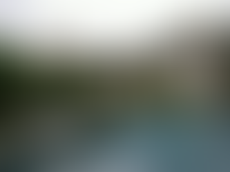 Customizing Your Dream Home: Insights from Houston's Top Luxury Builders