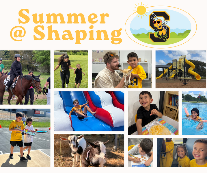 Summer @ Shaping Poster-3.png