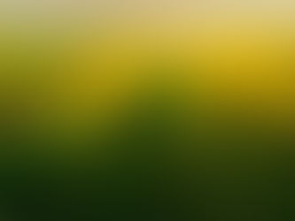 Types of Brush Cutters That You Must Know