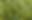 IMG_2377.png