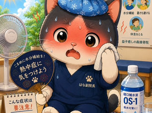 今日も