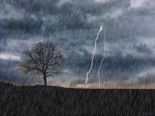 大雨