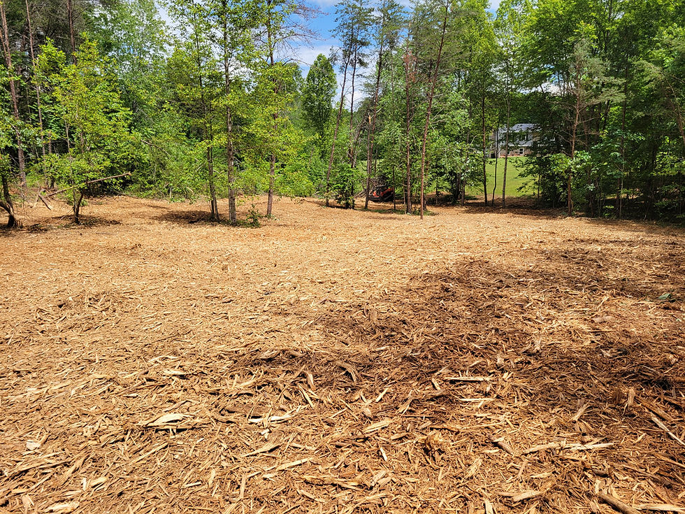Open cleared ground with fresh mulch covering the surface
