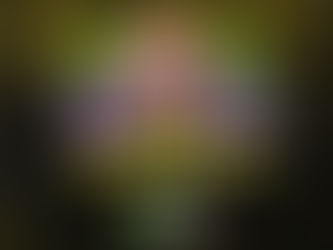 Celebrate the Best Weekend Latin Party Salt Lake City