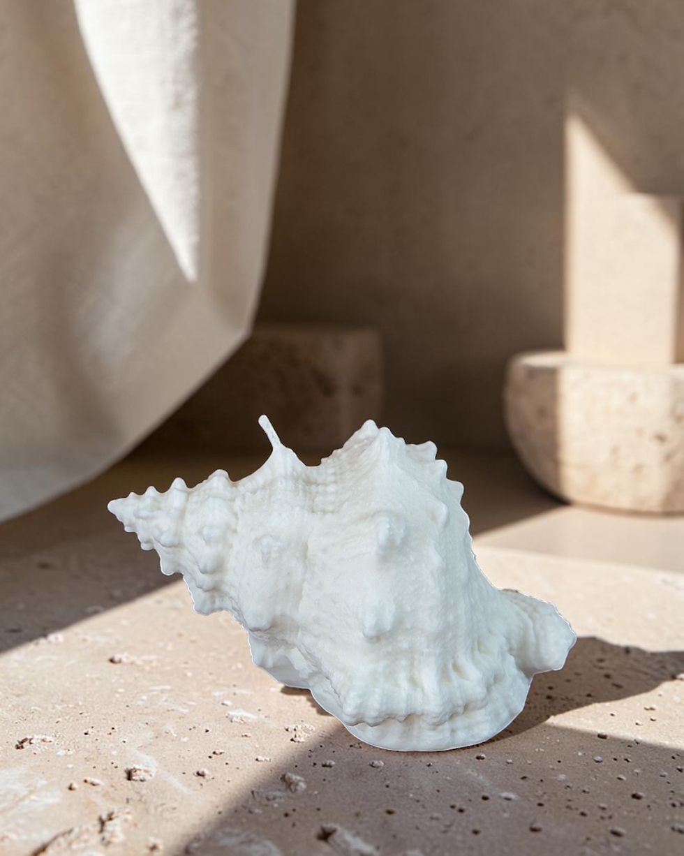Pikkukuva: Rose Shell