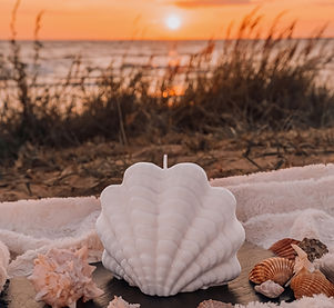 Wing Shell candle