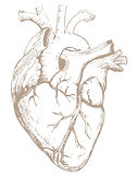 heart_edited.jpg