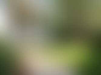 How to Book Reliable Exterior House Cleaning Services