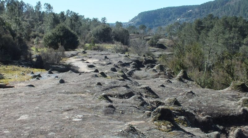 Sentier-des-tétines