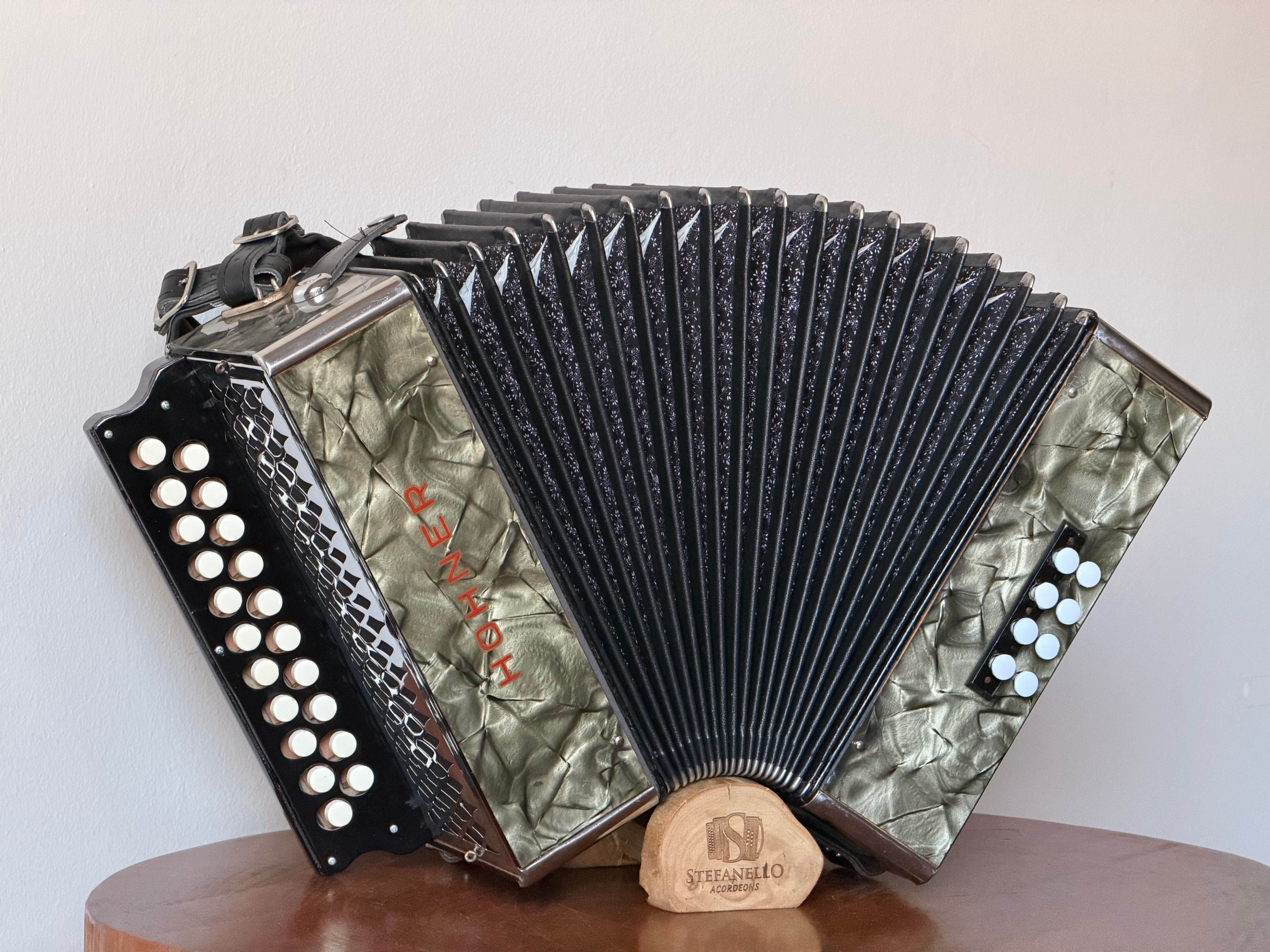 Hohner cinza sol e dó com revitalização completa com fole novo