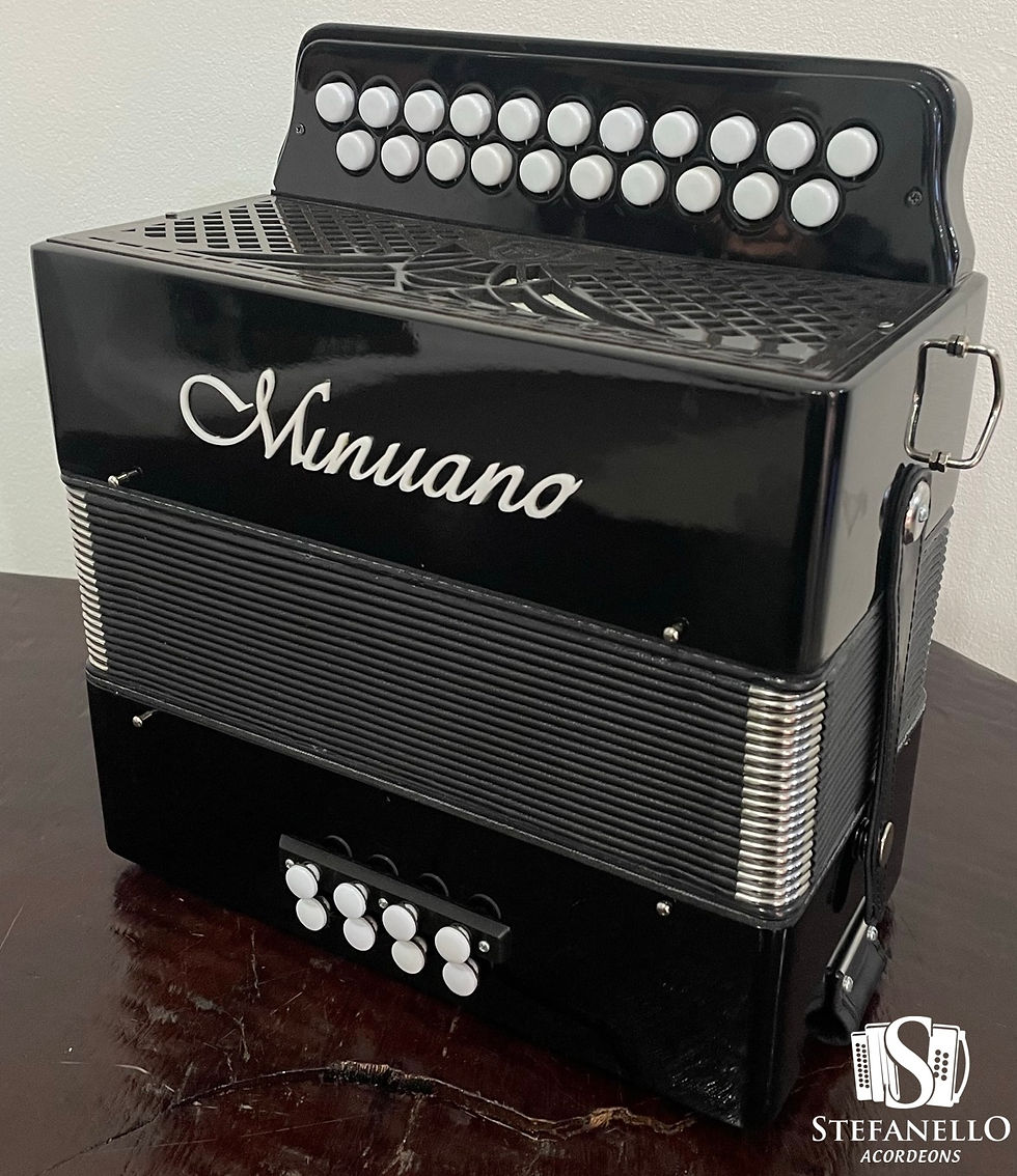 Miniatura: MINUANO 8 BAIXOS PRETA