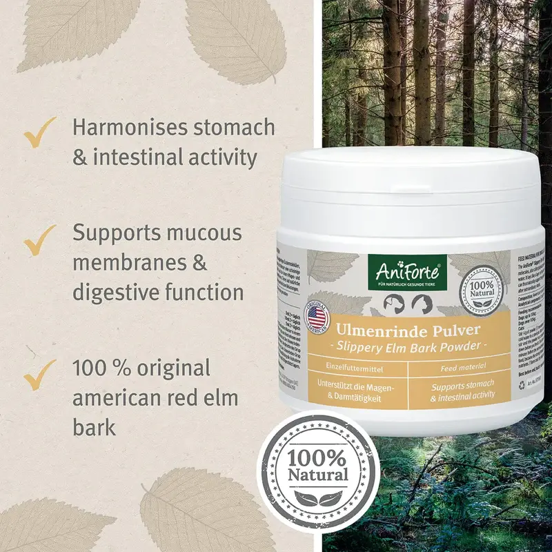 Thumbnail: Aniforte Slippery Elm Bark Powder - Supports Digestion and Healthy Gastric Mucos