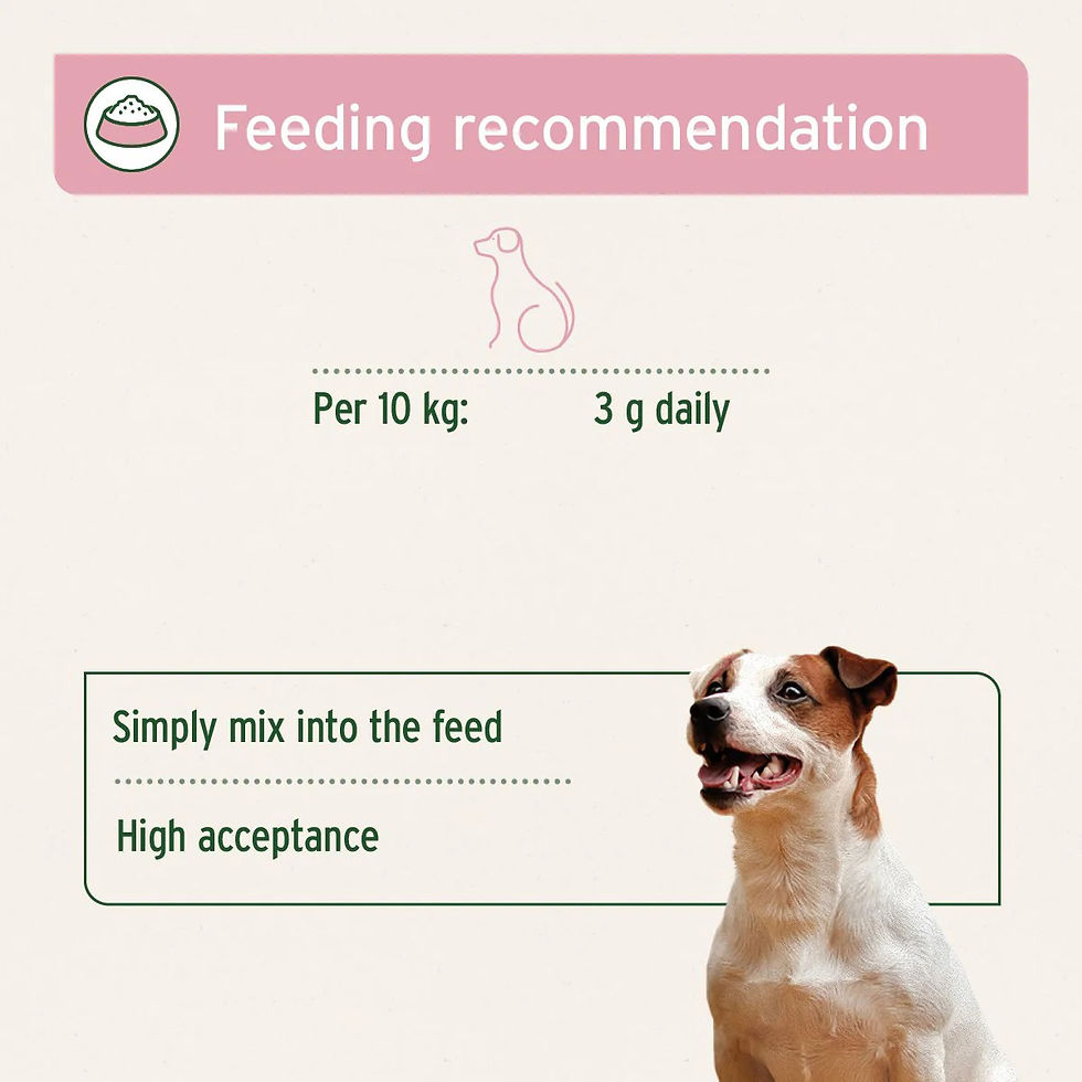 Thumbnail: Aniforte 4in1 Complete for Dogs - Advanced Health Supplement