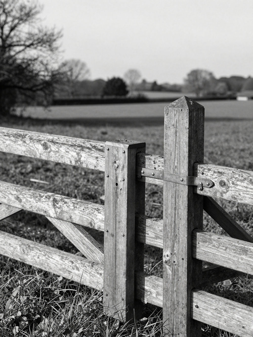 Rustic wooden fence in a sunny field