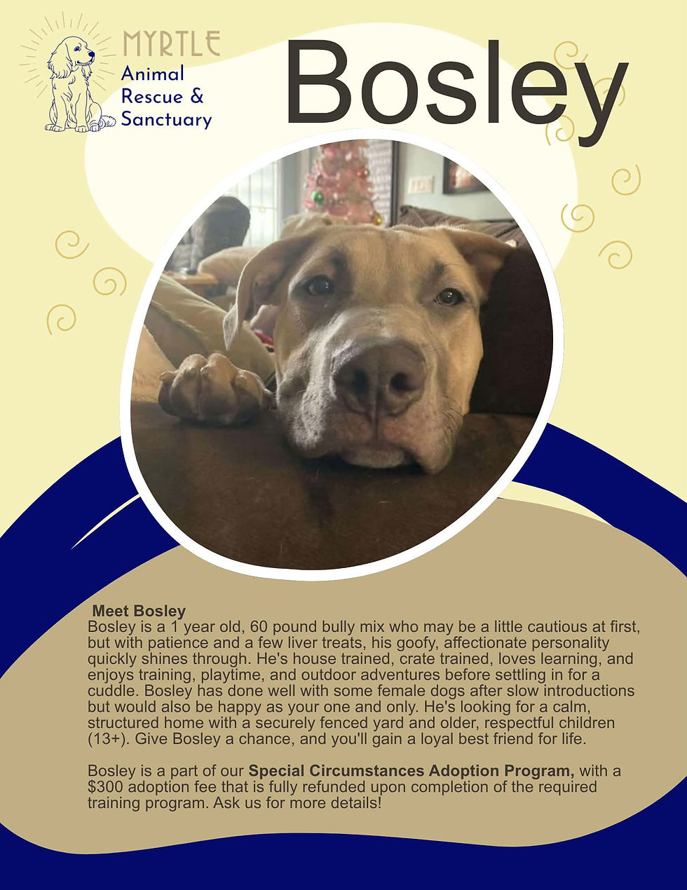 Bosley