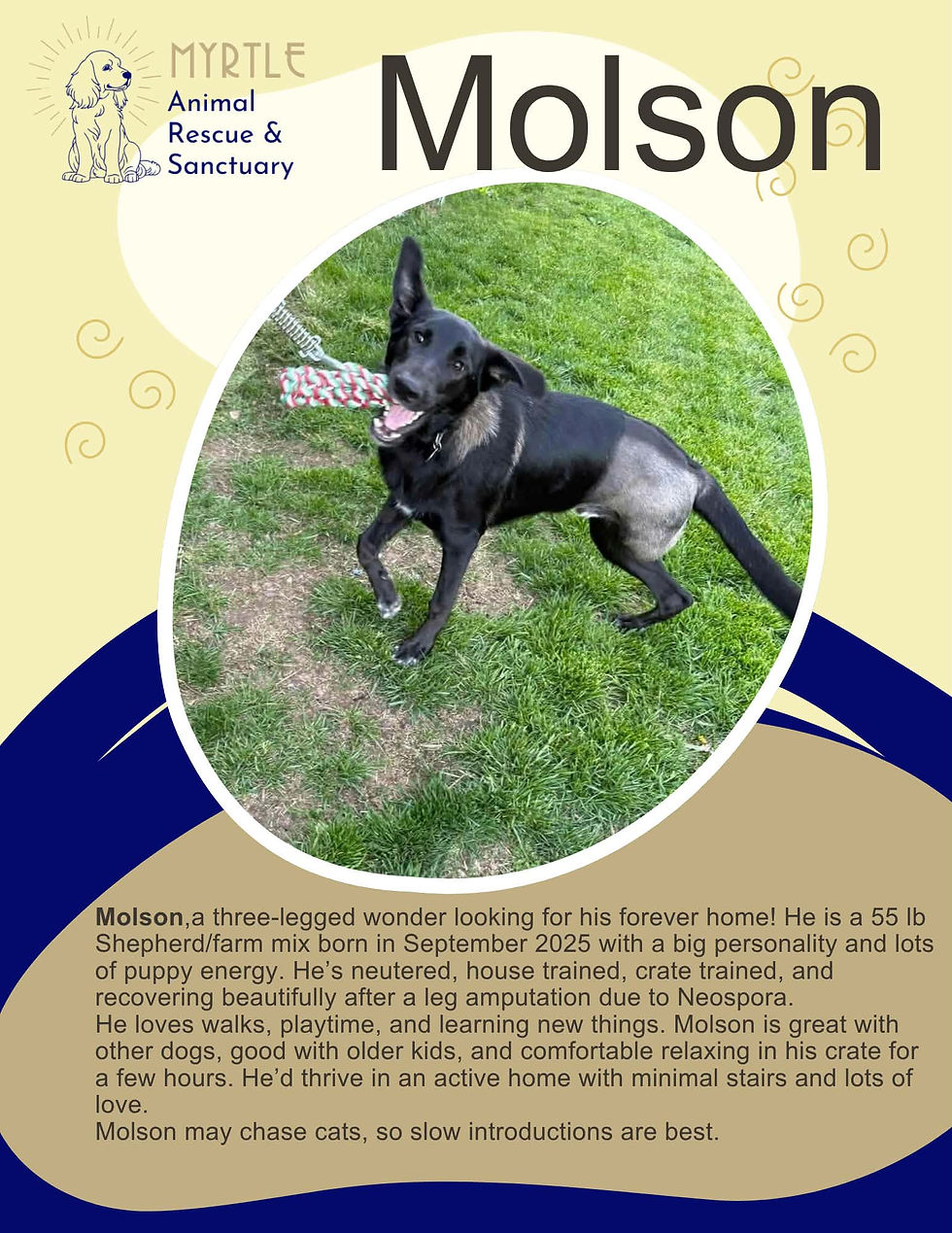 Molson