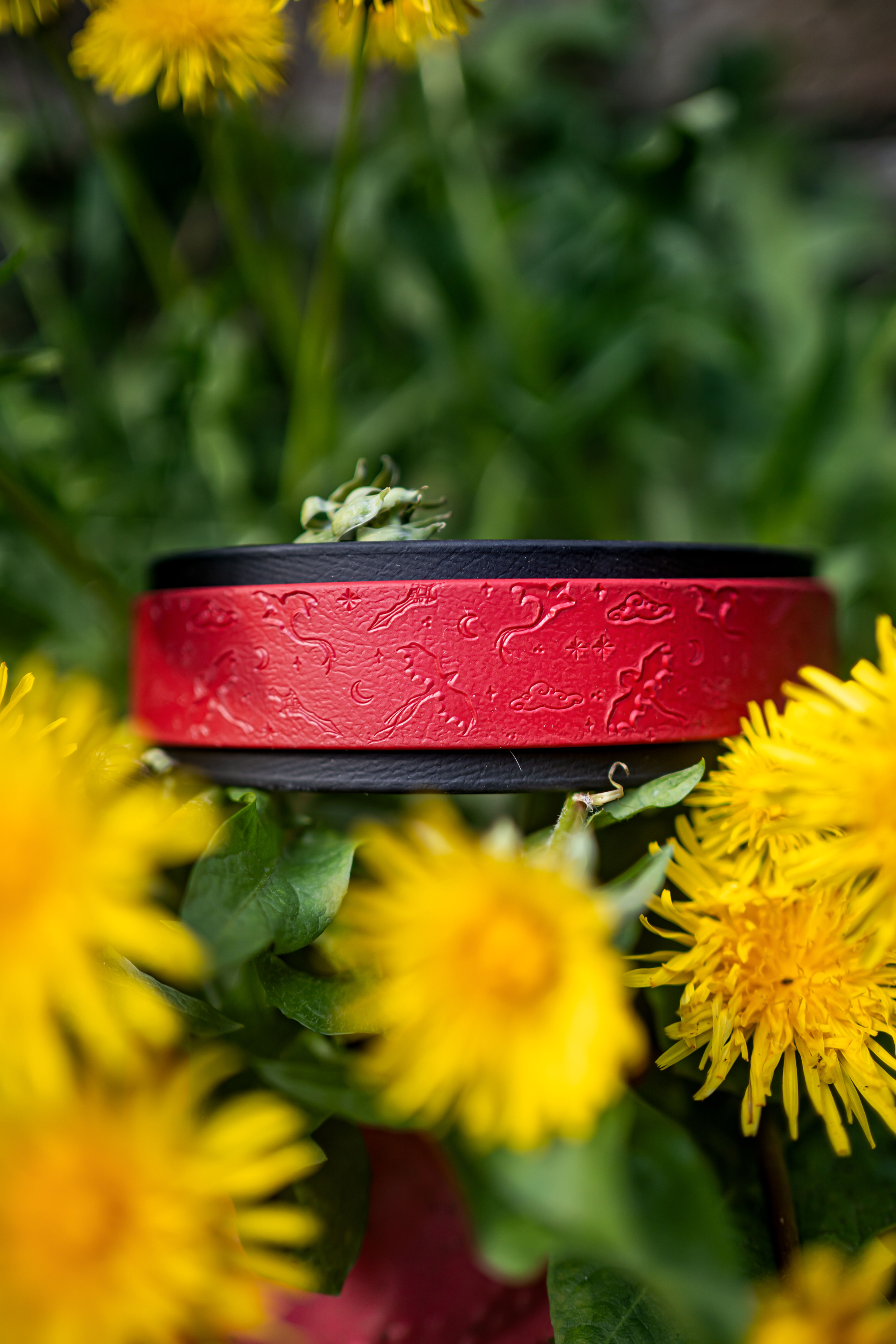 Thaleryn Hound Style Collar