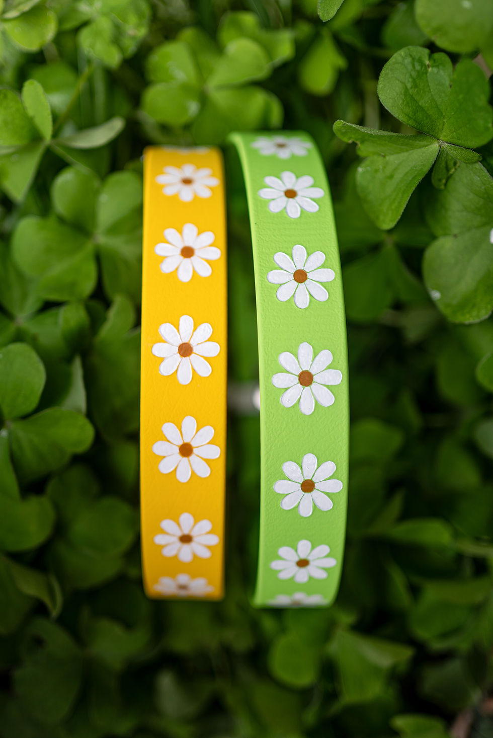 Thumbnail: Daisy Dreams Hound Style Collar