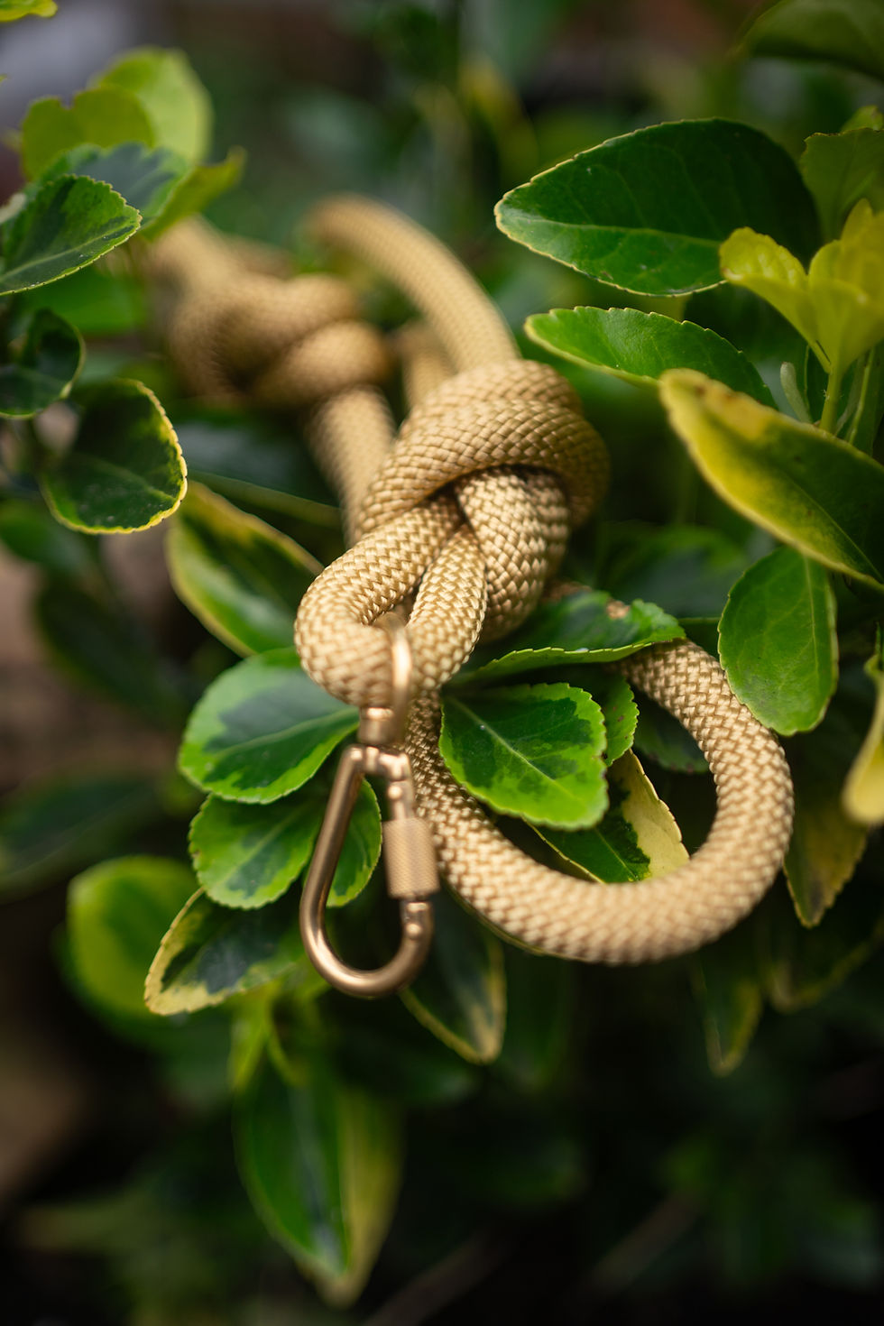 Thumbnail: Mountain Adventures Rope Lead