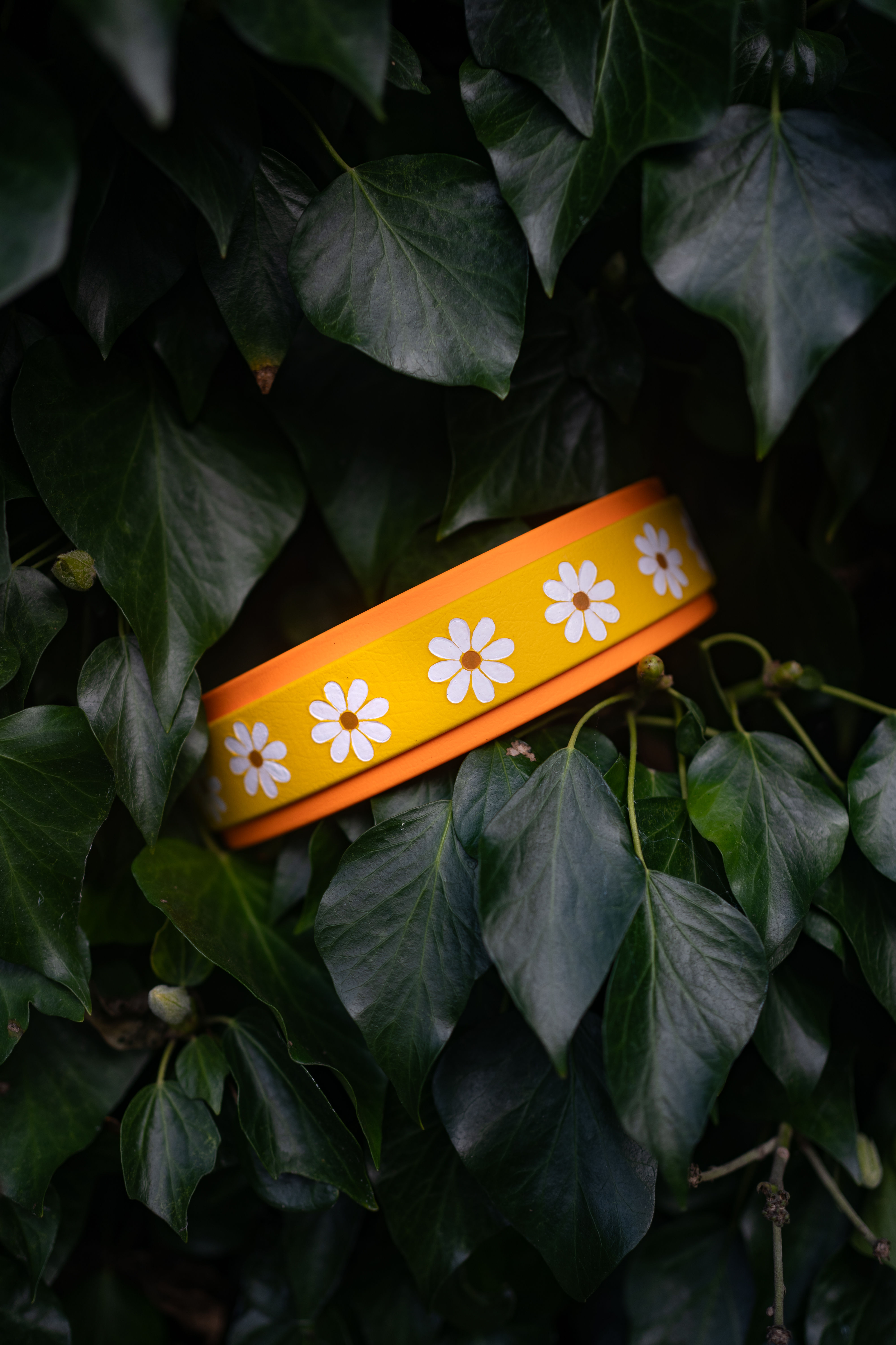 Daisy Dreams Hound Style Collar
