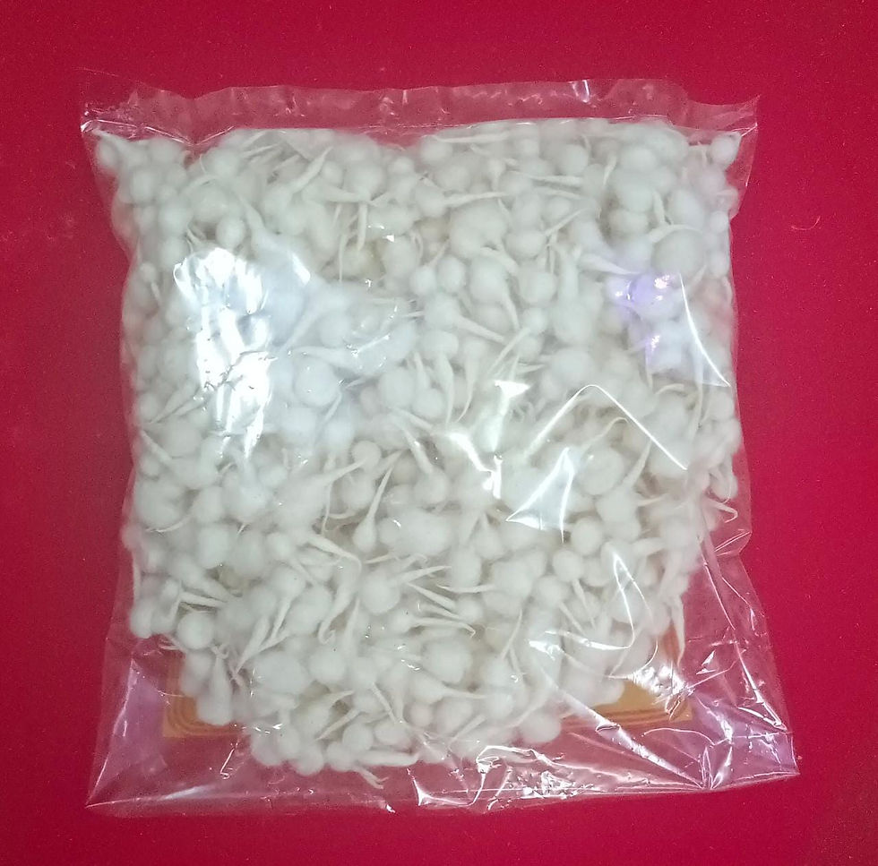 Thumbnail: Comber Wick Diamond