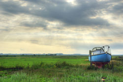 Put Out To Pasture