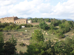 DSC01598