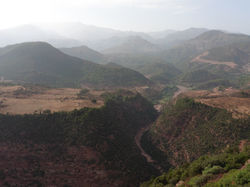 P1000130